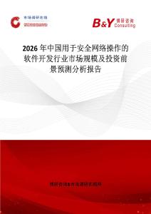 2026年中国用于安全网络操作的软件开发行业市场规模及投资前景预测分析报告