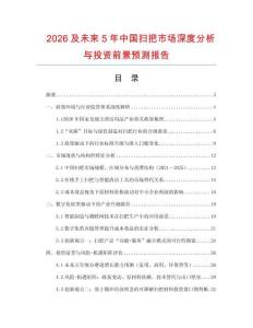 2026及未來5年中國掃把市場深度分析與投資前景預測報告