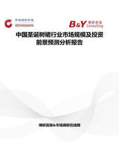 中國圣誕樹裙行業市場規模及投資前景預測分析報告