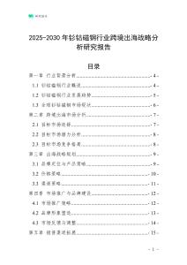 2025-2030年釤鈷磁鋼行業跨境出海戰略分析研究報告