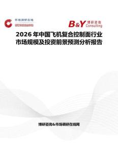 2026年中國飛機復合控制面行業市場規模及投資前景預測分析報告