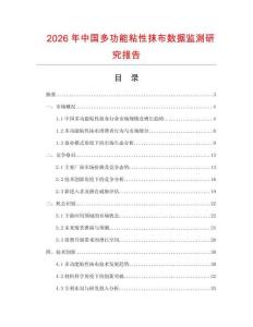 2026年中国多功能粘性抹布数据监测研究报告