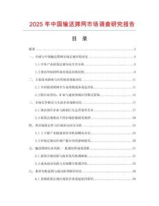 2025年中國輸送篩網市場調查研究報告