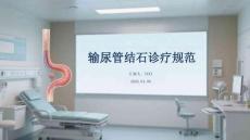 输尿管结石诊疗规范