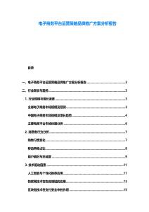 电子商务平台运营策略品牌推广方案分析报告