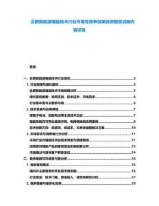 合肥新能源儲能技術行業作用性競爭效果投資前景戰略內容涉及