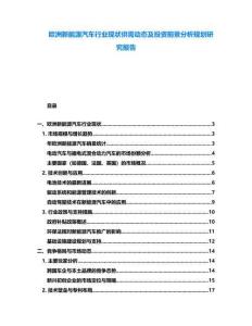 歐洲新能源汽車行業現狀供需動態及投資前景分析規劃研究報告