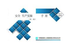 AQ中建项目安全生产实操手册(19章)