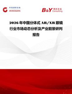 2026年中國分體式AR XR眼鏡行業(yè)市場動態(tài)分析及產(chǎn)業(yè)前景研判報告