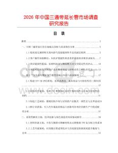 2026年中國三通帶延長管市場調查研究報告