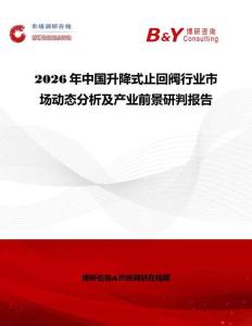 2026年中國升降式止回閥行業市場動態分析及產業前景研判報告