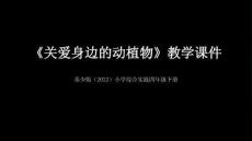《關愛身邊的動植物》教學課件-2025-2026學年蘇少版（2022）小學綜合實踐四年級下冊