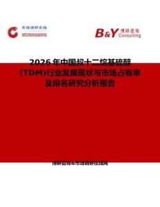 2026年中國叔十二烷基硫醇(TDM)行業發展現狀與市場占有率及排名研究分析報告