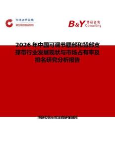 2026年中国可调节腰部和背部支撑带行业发展现状与市场占有率及排名研究分析报告