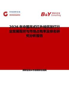 2026年中国吊式红外线烘发灯行业发展现状与市场占有率及排名研究分析报告