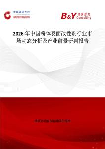 2026年中國粉體表面改性劑行業(yè)市場動態(tài)分析及產(chǎn)業(yè)前景研判報告