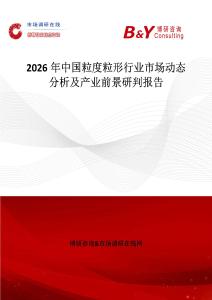 2026年中國粒度粒形行業市場動態分析及產業前景研判報告