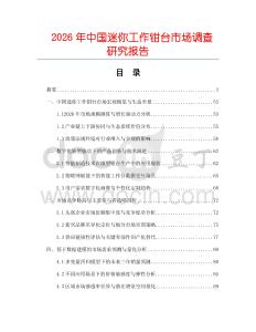 2026年中國迷你工作鉗臺市場調查研究報告