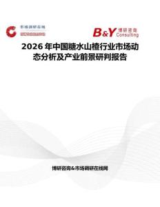 2026年中國糖水山楂行業市場動態分析及產業前景研判報告