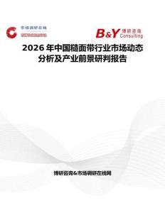 2026年中國(guó)糙面帶行業(yè)市場(chǎng)動(dòng)態(tài)分析及產(chǎn)業(yè)前景研判報(bào)告