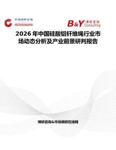 2026年中國硅酸鋁釬維繩行業(yè)市場動態(tài)分析及產(chǎn)業(yè)前景研判報告