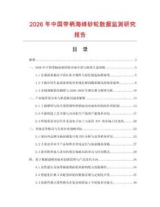 2026年中國帶柄海綿砂輪數(shù)據(jù)監(jiān)測研究報告