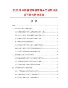 2026年中國搪玻璃直管彎頭三通項(xiàng)目投資可行性研究報(bào)告