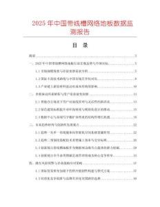 2025年中國帶線槽網絡地板數據監測報告