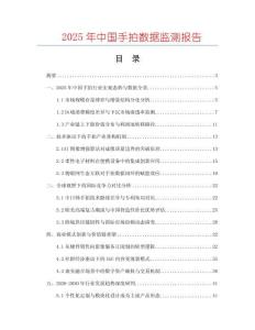 2025年中國手拍數據監測報告