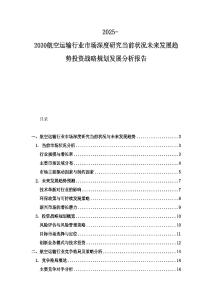 2025-2030航空運(yùn)輸行業(yè)市場(chǎng)深度研究當(dāng)前狀況未來(lái)發(fā)展趨勢(shì)投資戰(zhàn)略規(guī)劃發(fā)展分析報(bào)告