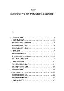 2025-2030湖北電子產(chǎn)業(yè)園區(qū)市場供需配套性測算投資操作