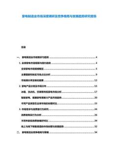 家電制造業(yè)市場(chǎng)深度調(diào)研及競(jìng)爭(zhēng)格局與發(fā)展趨勢(shì)研究報(bào)告