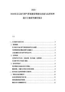 2025-2030東北石油天然氣管道建設(shè)智能化改造與運(yùn)營(yíng)效率提升方案研究解析報(bào)告