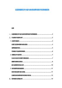 白酒微醺經(jīng)濟(jì)興起與夜間消費(fèi)場景開發(fā)策略報(bào)告