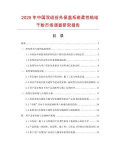 2025年中國雙組份外保溫系統柔性粘結干粉市場調查研究報告