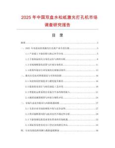 2025年中國雙盤水松紙激光打孔機市場調查研究報告