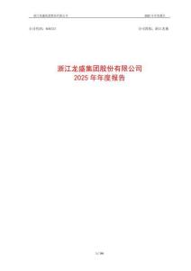 浙江龍盛：2025年年度報告