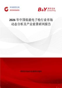 2026年中國(guó)低能電子槍行業(yè)市場(chǎng)動(dòng)態(tài)分析及產(chǎn)業(yè)前景研判報(bào)告
