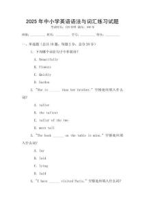 2025年中小學英語語法與詞匯練習試題