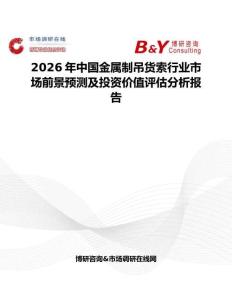 2026年中國金屬制吊貨索行業市場前景預測及投資價值評估分析報告