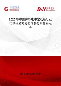 2026年中國防靜電中空板箱行業市場規模及投資前景預測分析報告