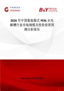 2026年中國集裝箱式PEM水電解槽行業(yè)市場規(guī)模及投資前景預(yù)測分析報(bào)告