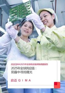 2025年度全球供應鏈調查報告：陰霾中尋找曙-