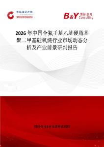 2026年中國全氟壬基乙基硬脂基聚二甲基硅氧烷行業(yè)市場動態(tài)分析及產(chǎn)業(yè)前景研判報告