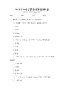 2025年中小學英語語法精講試卷