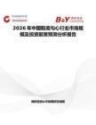 2026年中國鞋底勾心行業市場規模及投資前景預測分析報告