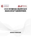 2026年中國內齒三角皮帶行業市場動態分析及產業前景研判報告