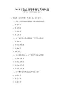 2025年創(chuàng)業(yè)指導手冊與實戰(zhàn)試題