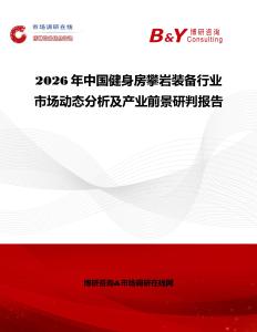2026年中國健身房攀巖裝備行業市場動態分析及產業前景研判報告