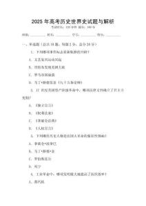 2025年高考历史世界史试题与解析